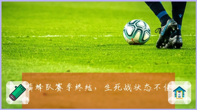 黄蜂队赛季终结，生死战状态不佳！